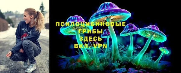 ПСИЛОЦИБИНОВЫЕ ГРИБЫ Арсеньев