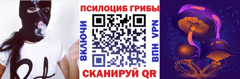 OMG рабочий сайт Ясный Псилоцибиновые грибы Psilocybine cubensis